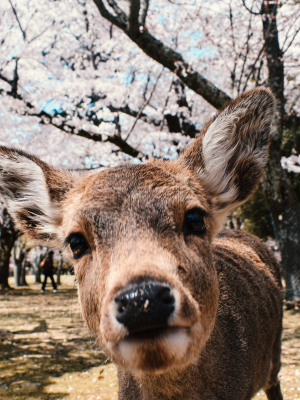 Diseño sin título (4)