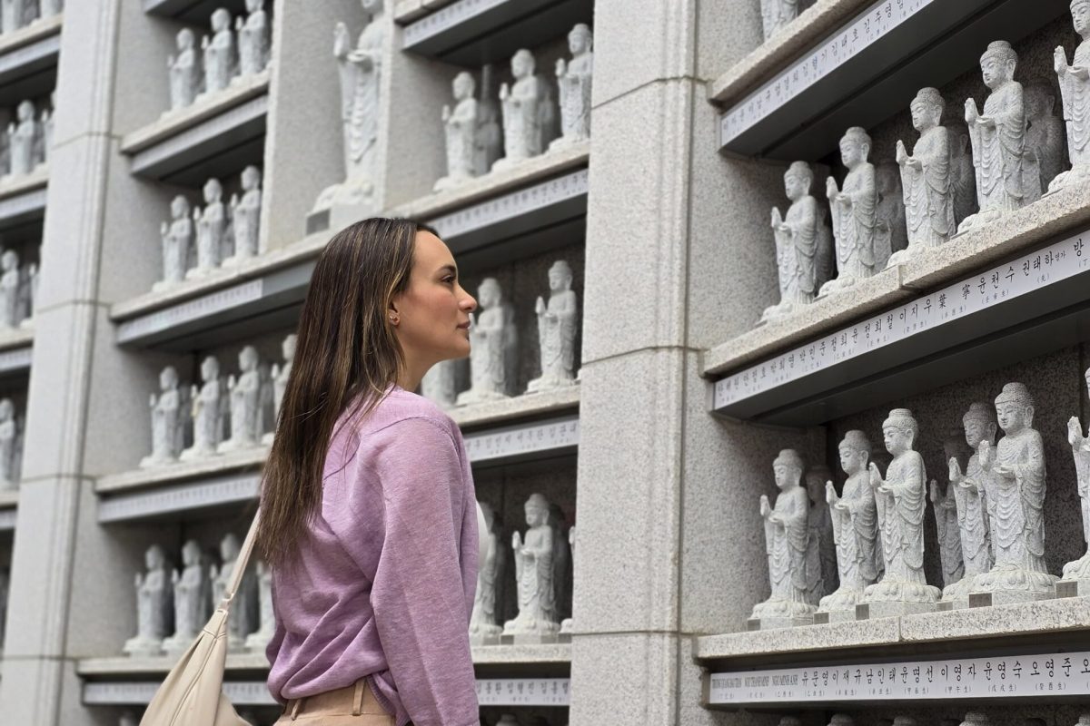 WhatsApp Image 2024-08-26 at 3.26.35 PM (1)