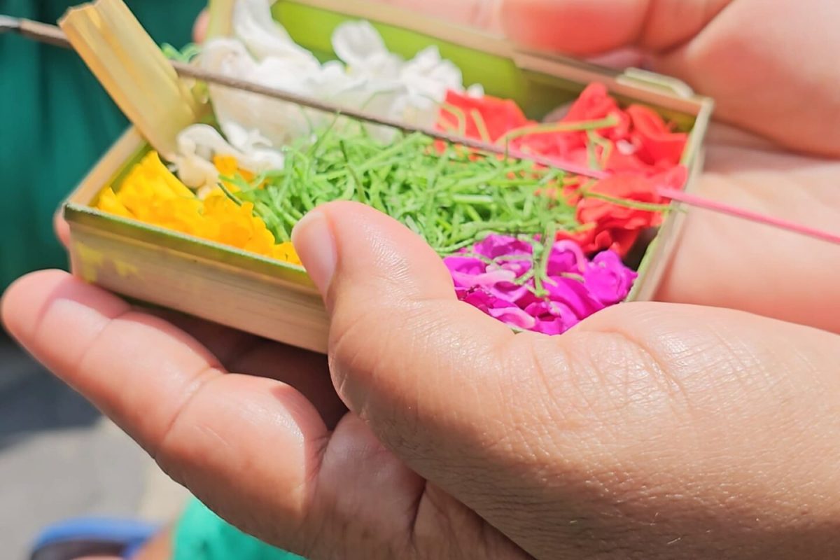 WhatsApp Image 2025-02-26 at 4.21.11 PM (1)